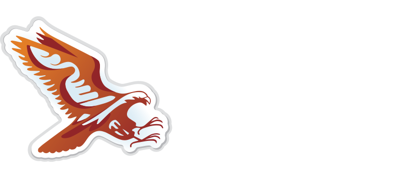 Sports Hall of Fame logo